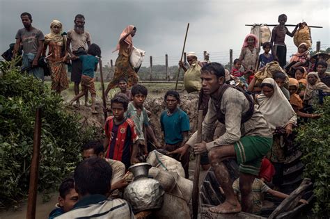 rohingya genocide
